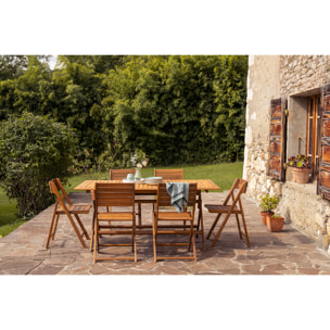 Chaises de jardin pliantes en bois massif (lot de 2) DIEGO