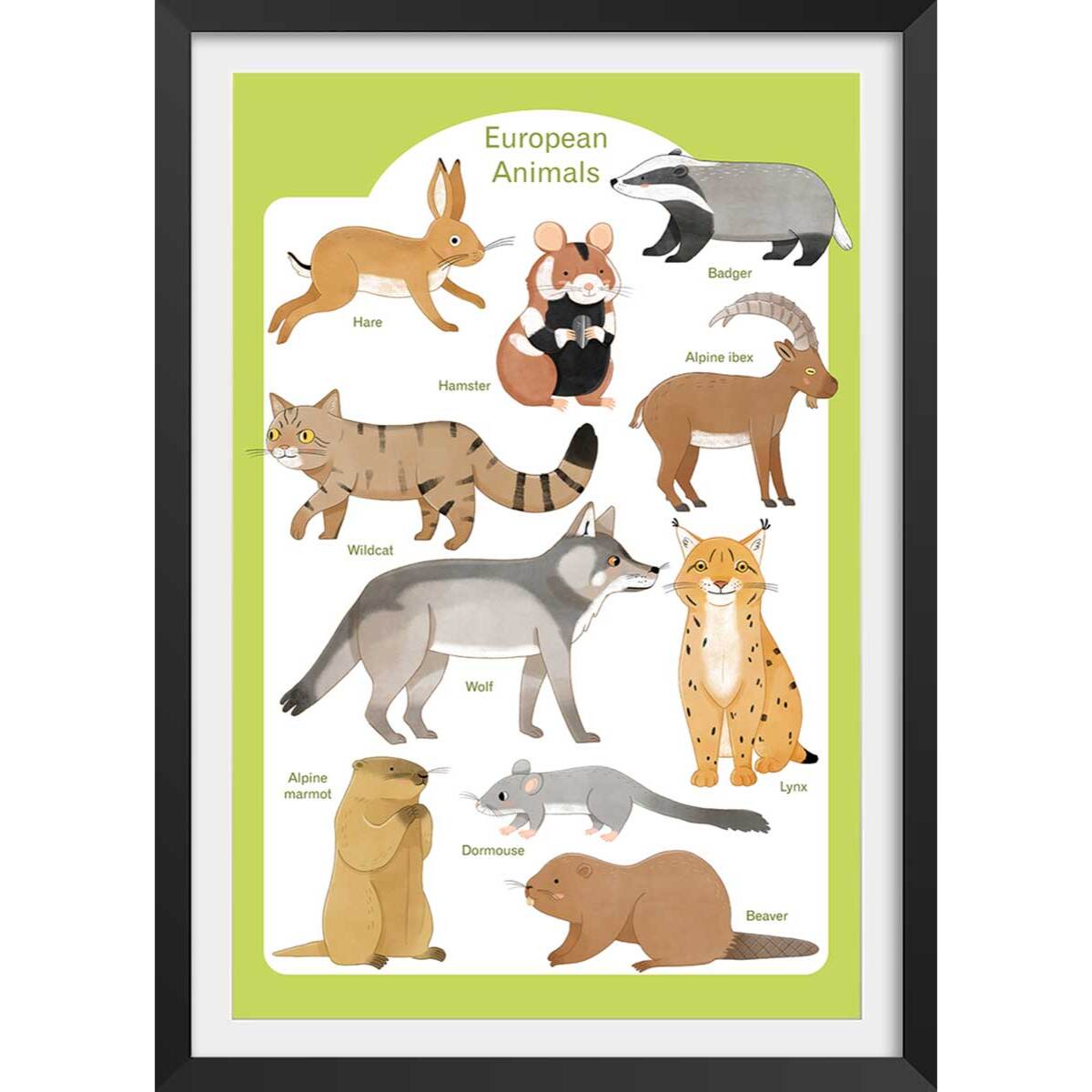 Affiche enfant animaux d'europe  Affiche sous cadre noir