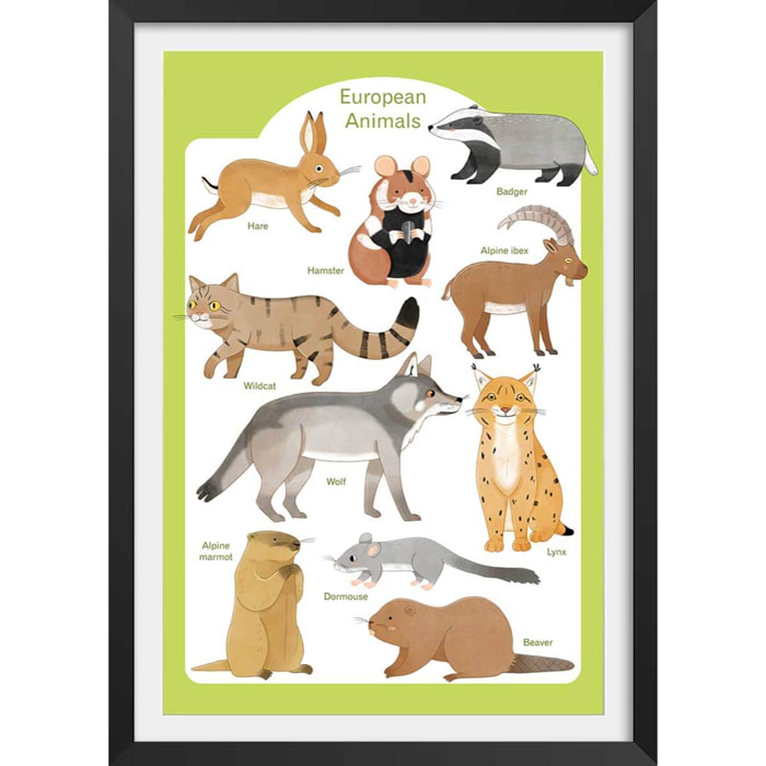 Affiche enfant animaux d'europe  Affiche sous cadre noir