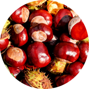 Champú Sensitive - Cabello sensible - 400 ml