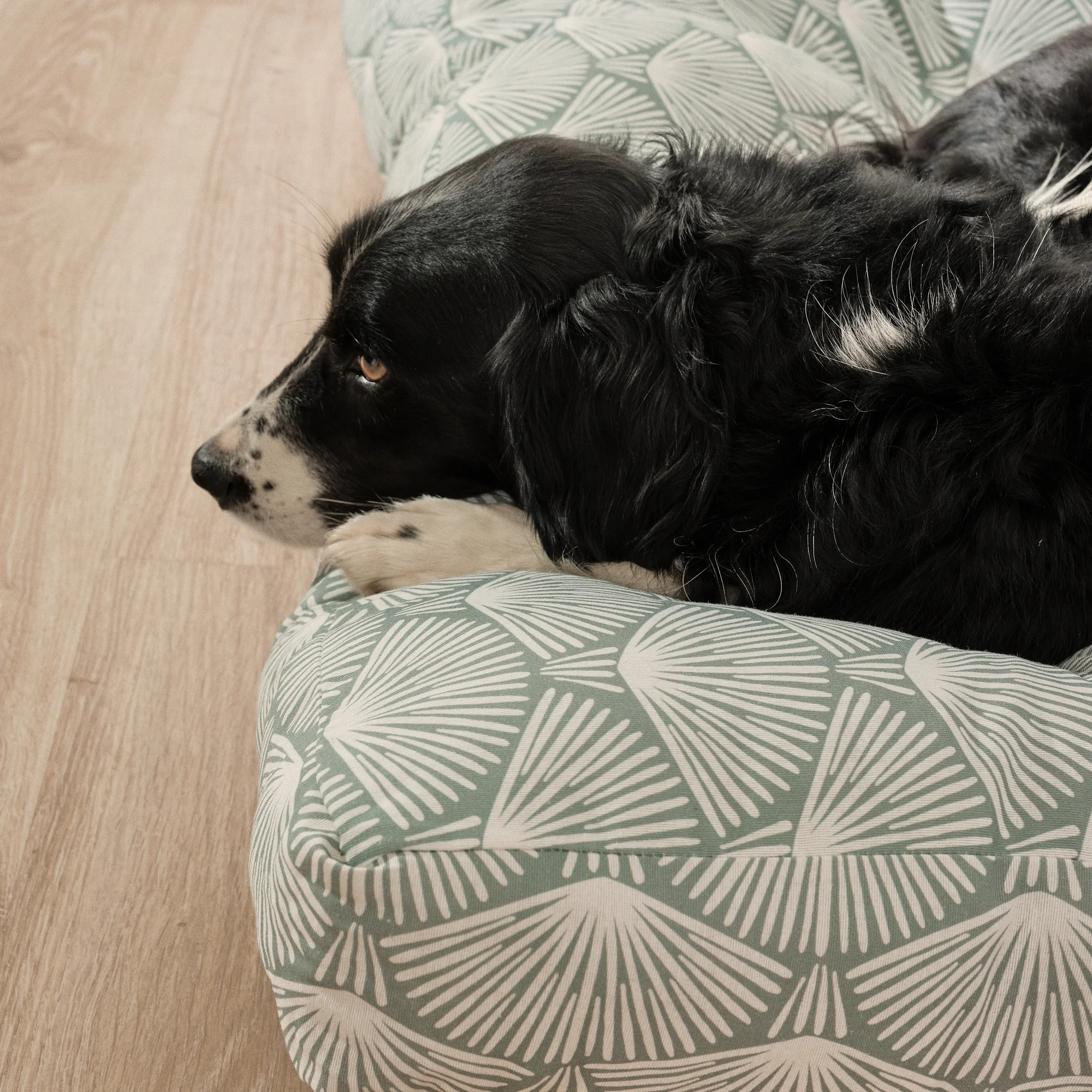 Lit épais et rembourré pour chiens et chats, 100 % coton anti-taches, pour animaux Asena 4
