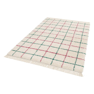 Tapis intérieur shaggy motif quadrillage multicolore avec franges Edward 160x230cm