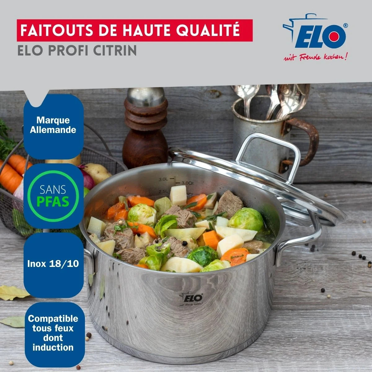 Set de 1 Poêle de cuisson et 5 faitouts Elo Profi Citrin