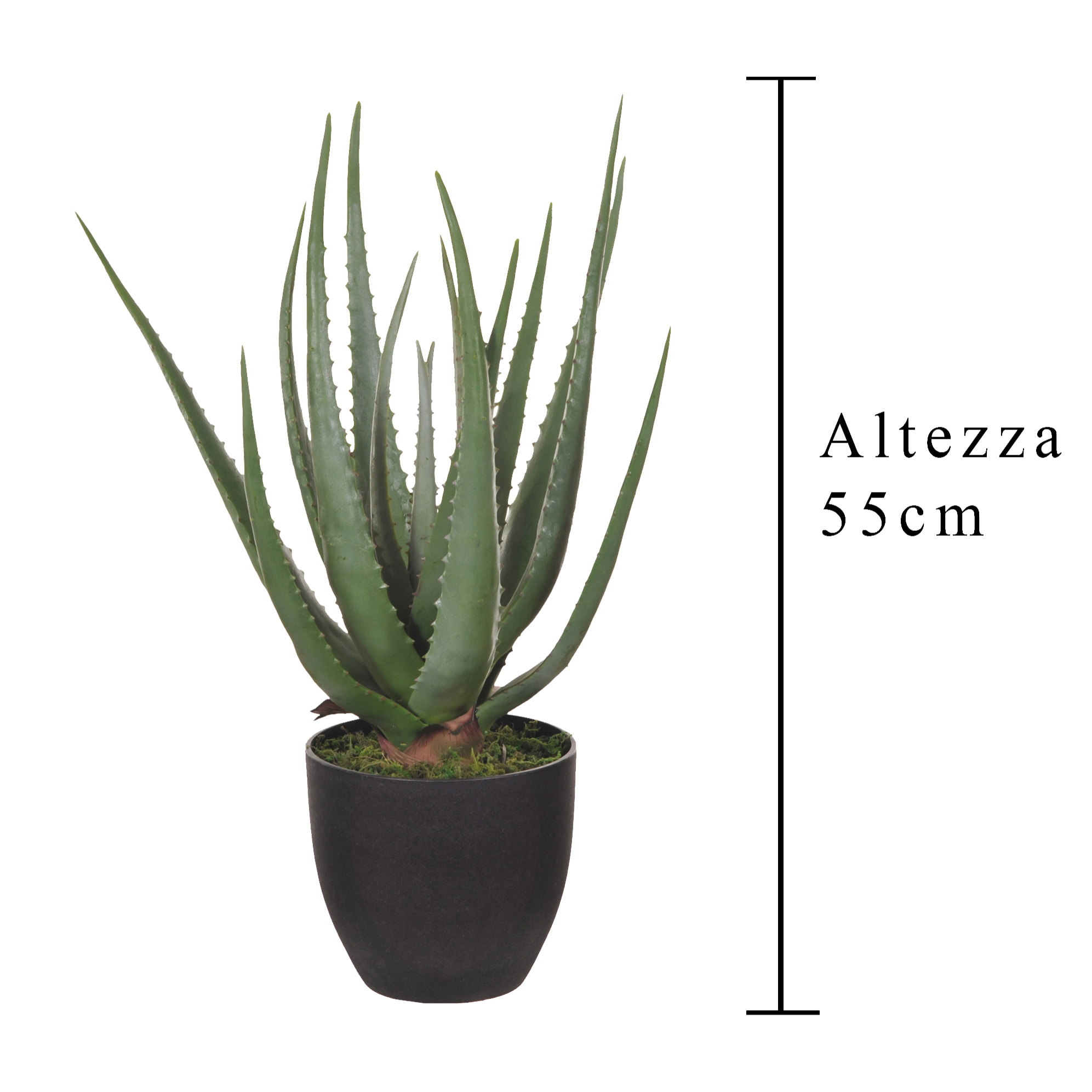 Aloe Con Vaso, 17 Foglie. Altezza 55 Cm - Pezzi 1 - 34X55X30cm - Colore: Verde - Bianchi Dino - Piante Artificiali