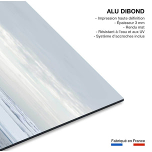 Tableau ours blanc sur la banquise Tableau alu Dibond