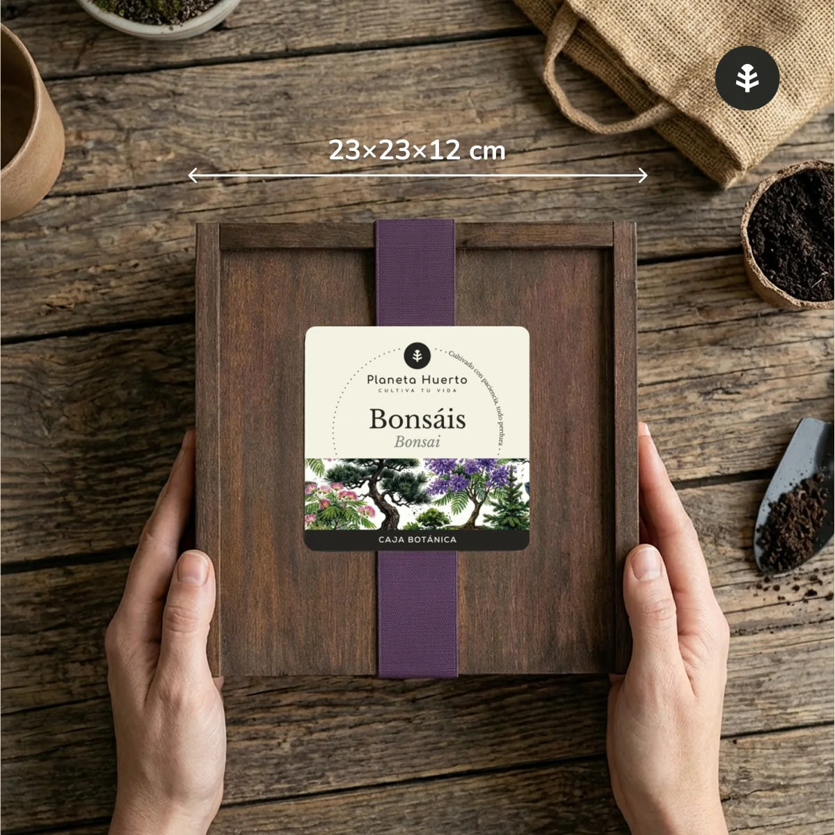 Kit de Cultivo de Bonsáis en Caja de Madera – Regalo Original Planeta Huerto