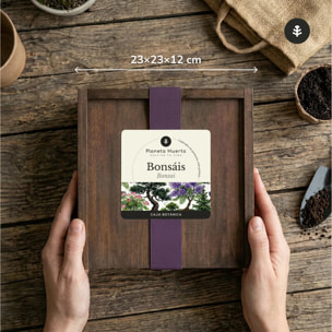 Kit de Cultivo de Bonsáis en Caja de Madera – Regalo Original Planeta Huerto