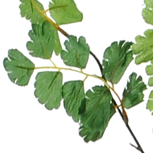 Ramo Di Capelvenere. Altezza 83 Cm - Pezzi 6 - 25X83X10cm - Colore: Verde - Bianchi Dino - Piante Artificiali