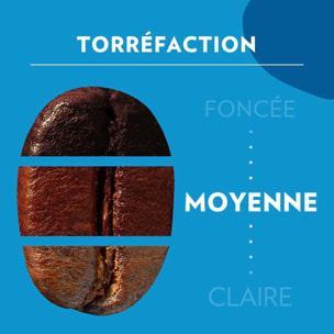 Grains decaf CLASSICO 500g