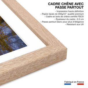 Affiche Chemin d'automne Affiche + cadre en bois - Chêne