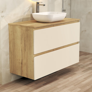 ENSEMBLE DE SALLE DE BAIN NIA | MEUBLE SUSPENDU | 100 CM GLACIER | DEUX TIROIRS |LAVABO SUR PLAN | MIROIR NON INCLUS | MEUBLE MONTÉ | ALDAY