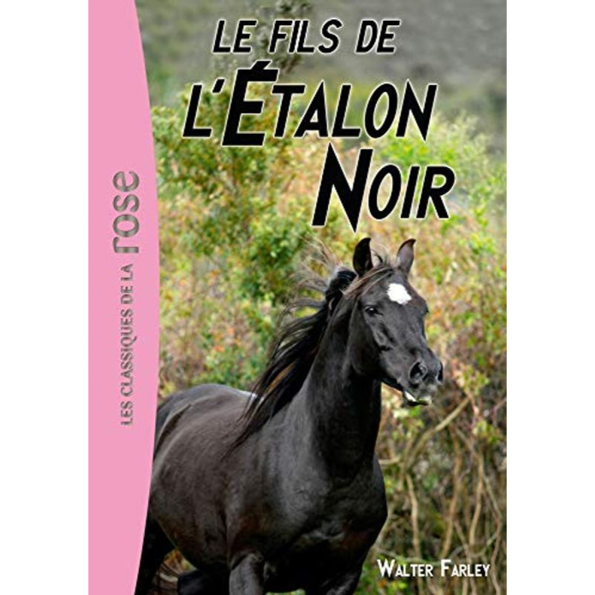 Farley, Walter | L'Étalon noir 04 - Le fils de l'Étalon Noir | Livre d'occasion
