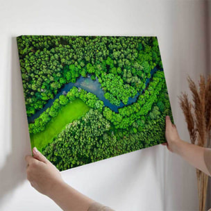 Tableau rivière sinueuse vue du ciel Toile imprimée