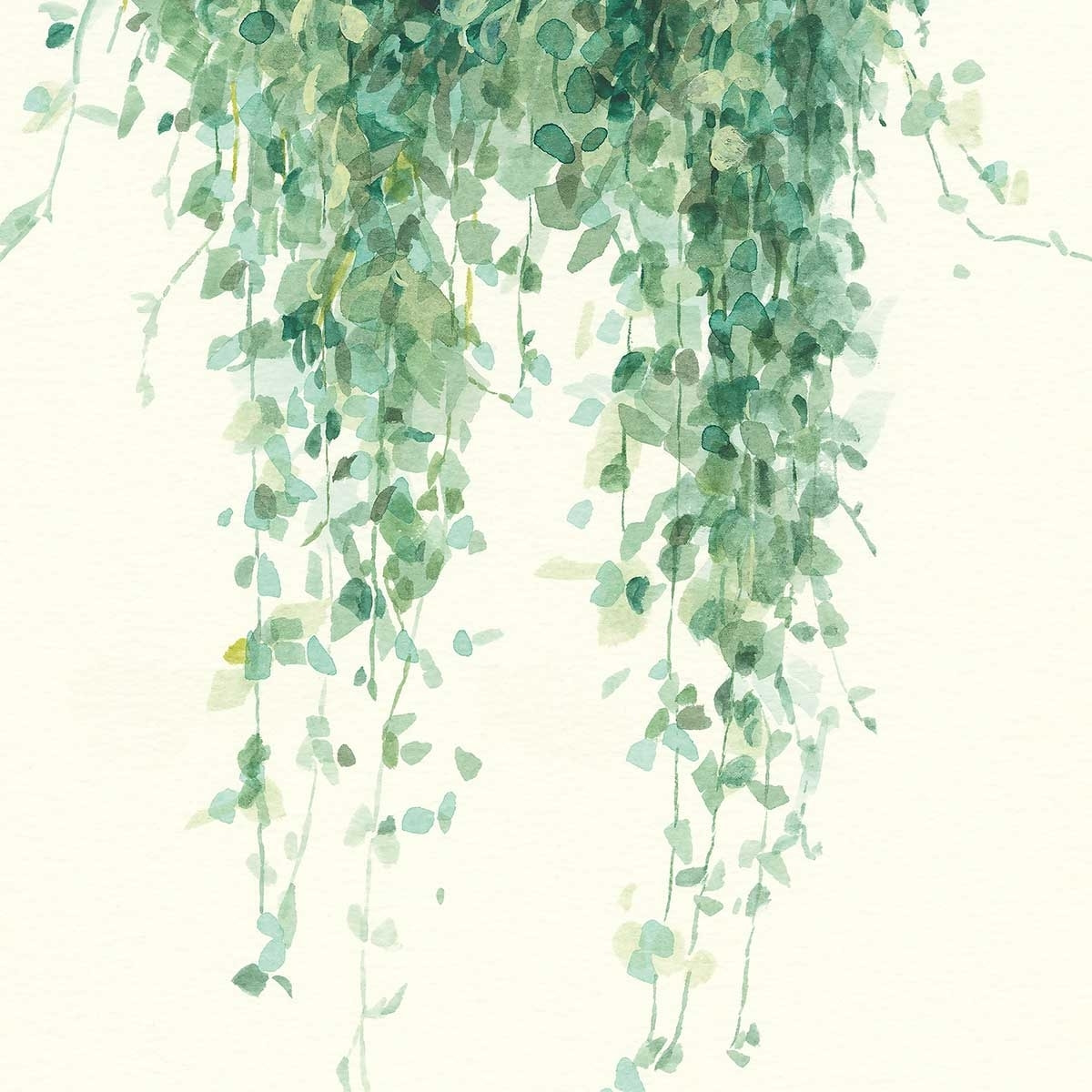 Tableau fleurs Plante tropicale Ceropegia illustrée Tableau alu Dibond