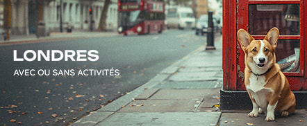 Londres avec ou sans activités