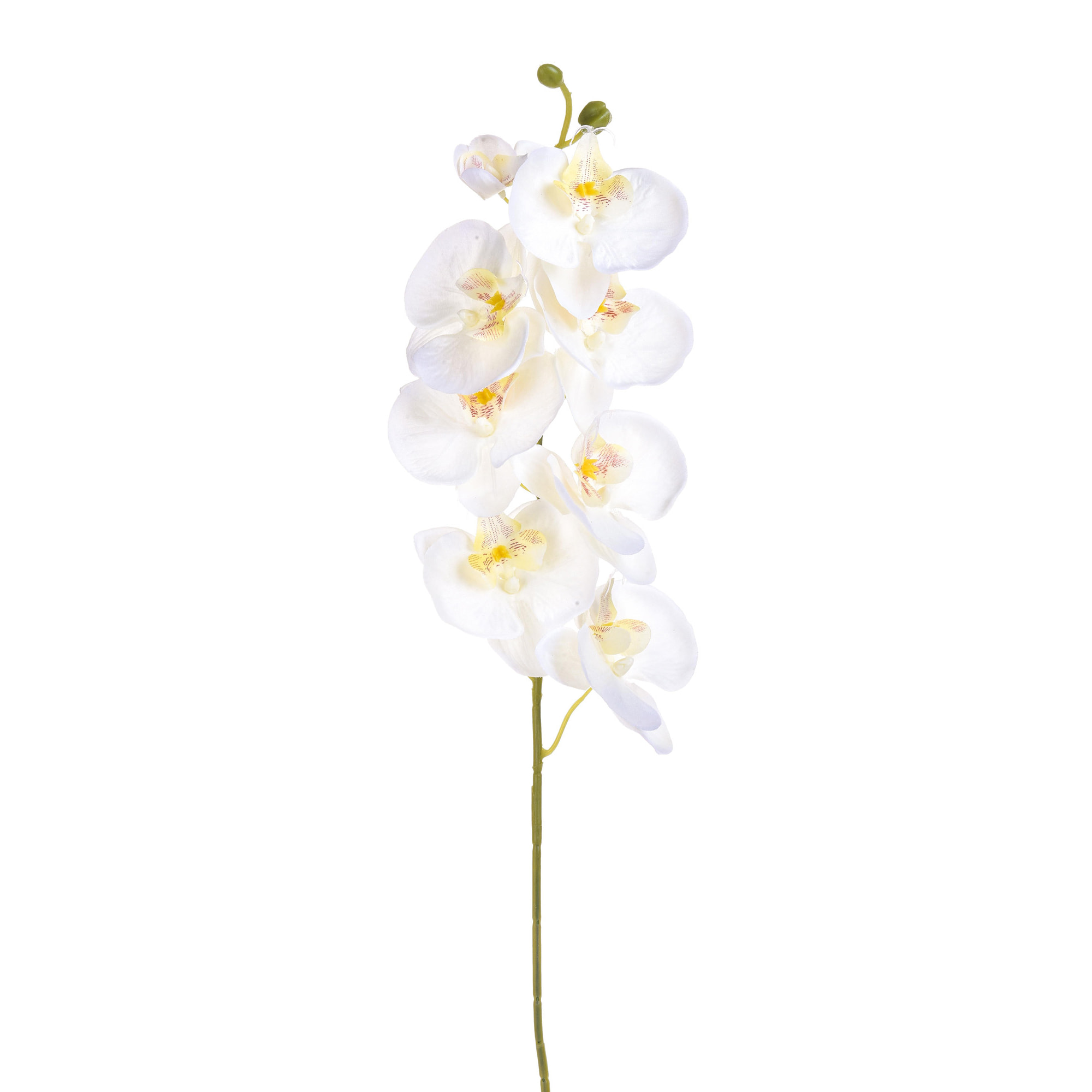 Phalaenopsis Con 8 Fiori. Altezza 65 Cm - Pezzi 12 - 14X65X8cm - Colore: Bianco - Bianchi Dino - Fiori Artificiali