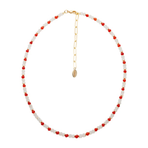 Collana U.S. Polo Assn. In metallo