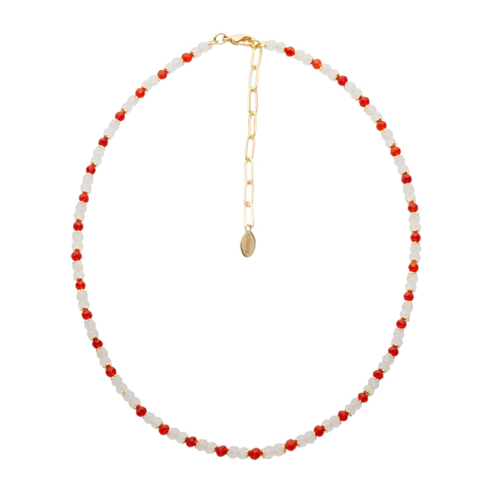 Collana U.S. Polo Assn. In metallo