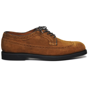Sebago - Scarpe allacciate Uomo Marrone - Canton Suede
