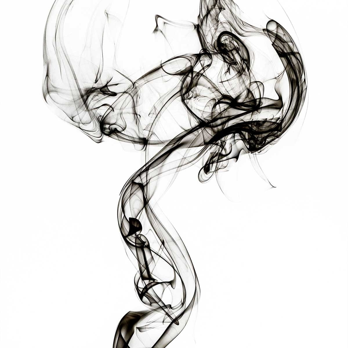 Poster black smoke medusa Affiche seule