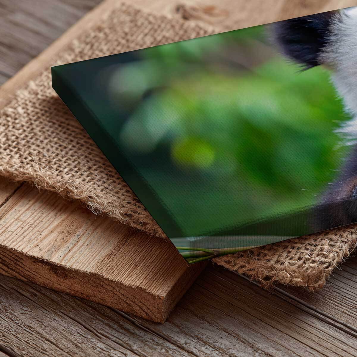 Tableau panoramique panda nature bambou Toile imprimée