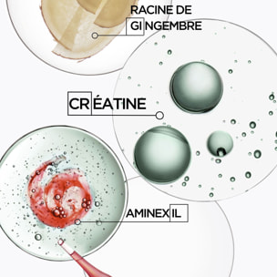 Genesis Homme - Sérum Anti-Chute Fortifiant pour cheveux affaiblis ayant tendance à tomber 90 ml