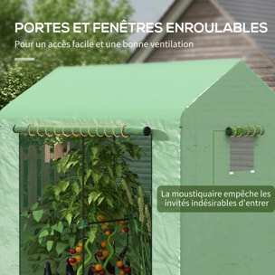 Serre de jardin 2,8 m² porte zippée 2 fenêtres acier PE vert