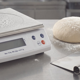 Balance électronique professionnelle - 12kg - IP53 - précison 1g - plateau amovible inox 29,8 x 23,6 cm