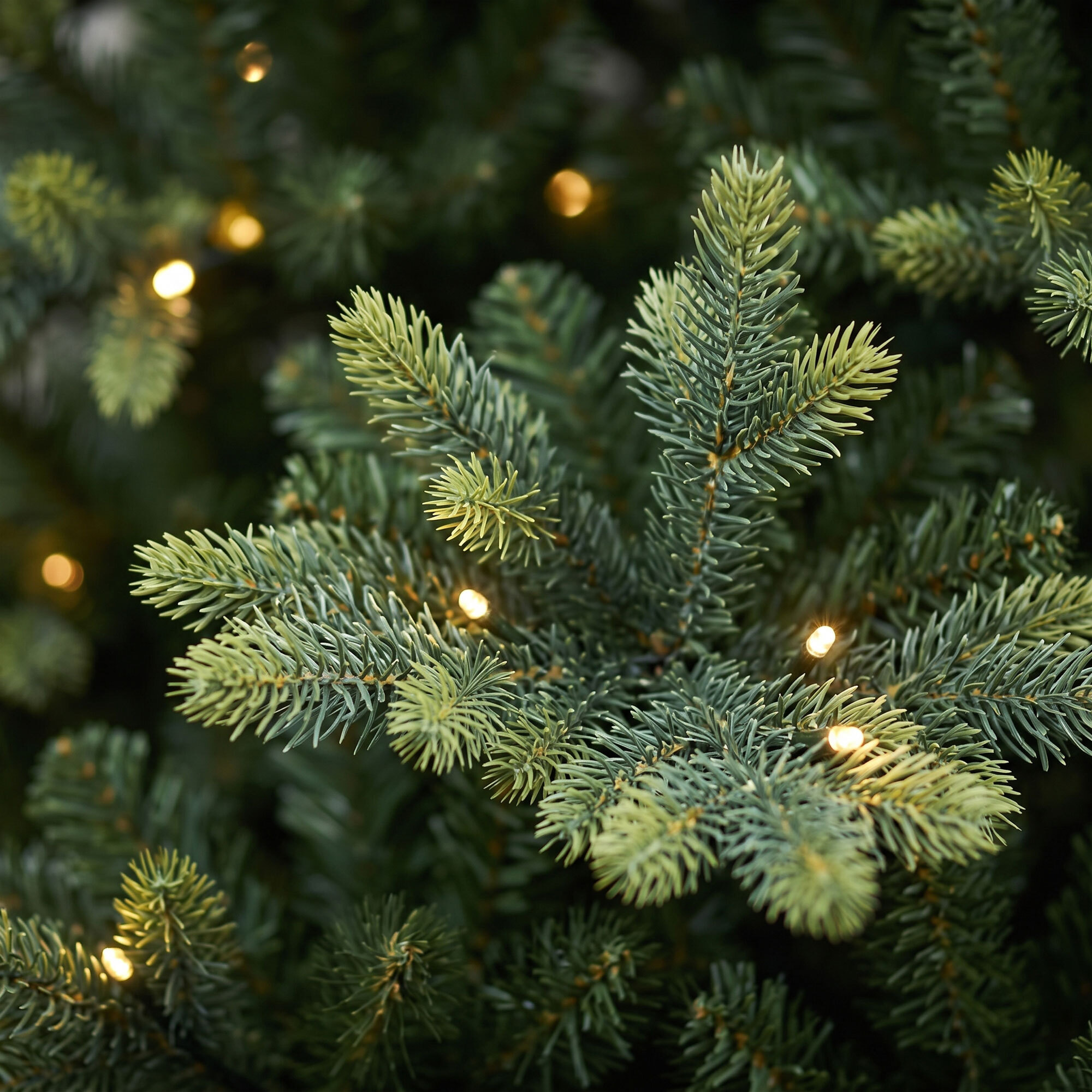 Cometa - Albero di Natale con 700 luci LED in PE e PVC Ø152x240 cm 2530 Punte