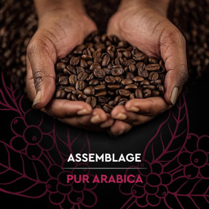 Grains Espresso 1 KG