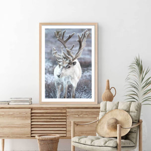 Affiche enfant parrot blanc  Affiche + cadre en bois - Chêne