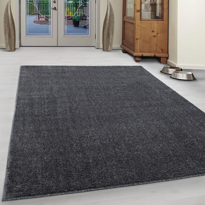 CALIFORNIE - Tapis uni à poils courts Gris