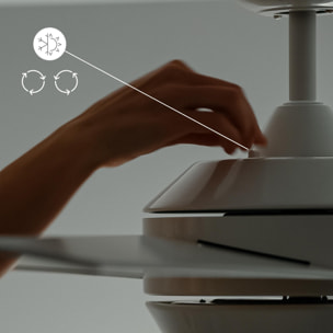 FORLIGHT Ventilador IP20 Windy Blanco Blanco