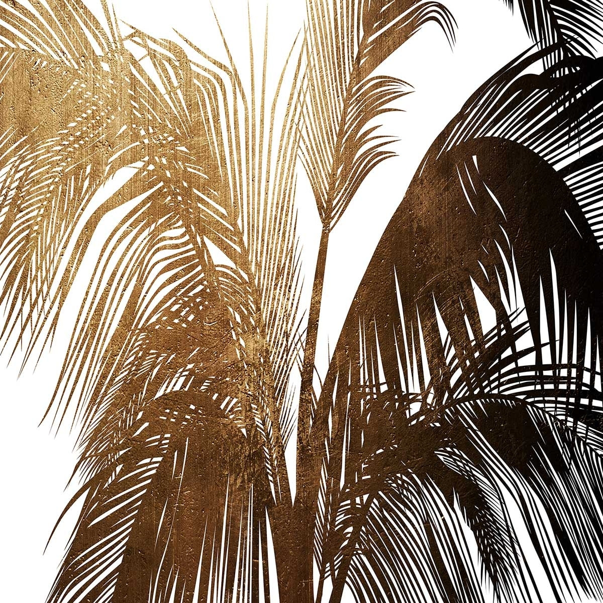 Poster tropicale palme de bronze Affiche sous cadre bois