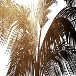 Poster tropicale palme de bronze Affiche sous cadre bois