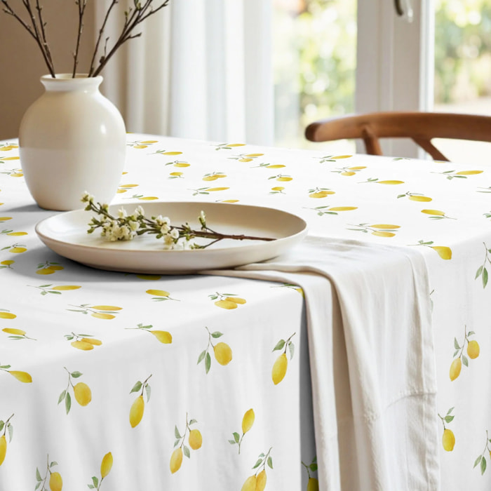 Nappe anti-taches XL Bettina 924-4