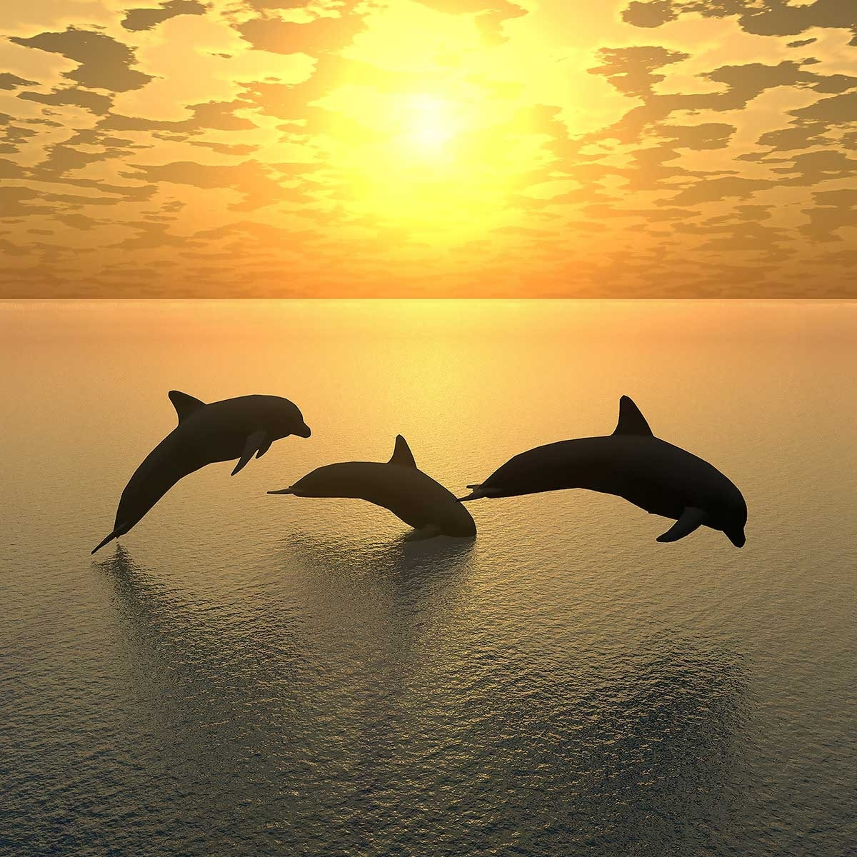 Tableau décoratif dauphins Toile imprimée