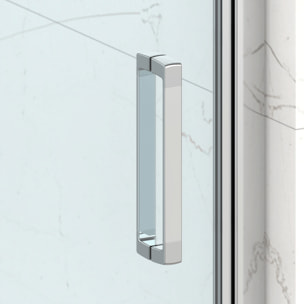 TEX-C ensemble porte compact/paroi 100x100cm anticalcaire avec profilés chrome brillant (SATTEXC100S100)