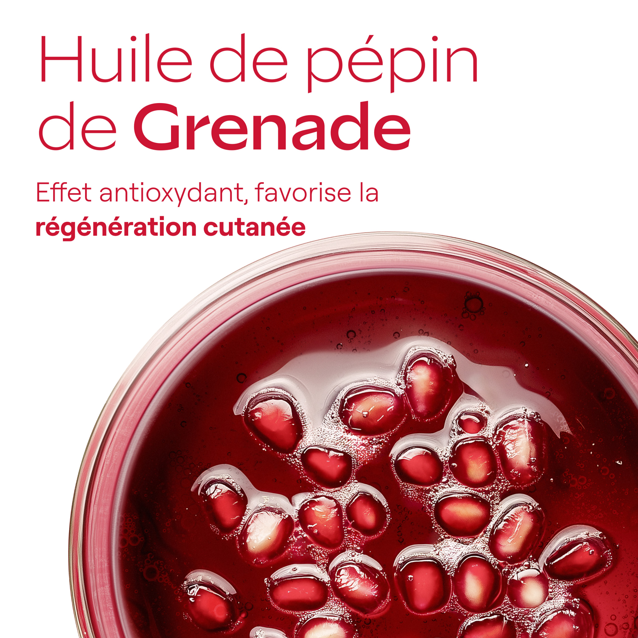 WELEDA - Crème de Jour raffermissante GRENADE & PEPTIDES DE MACA - 40 ml