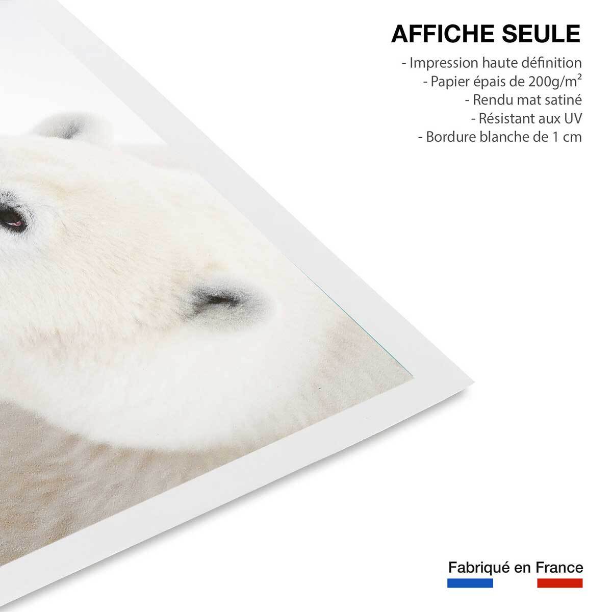 Affiche photo ours blanc polaire Affiche seule