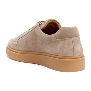Sneaker British Passport Beige