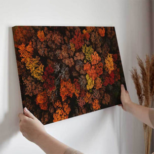 Tableau feuillage d’automne vu du ciel Toile imprimée
