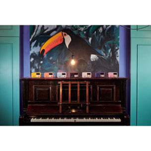 Radio DAB ROBERTS REVIVAL PETITE 2 BLEU CIEL