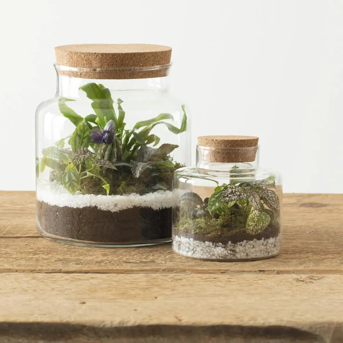 Terrarium verre H21cm