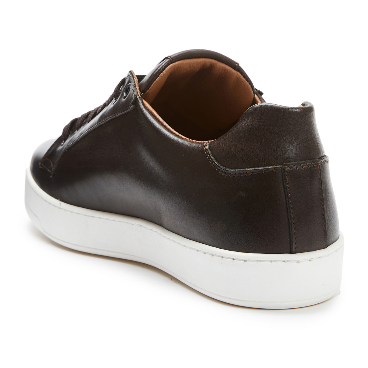 Sneaker British Passport testa di moro