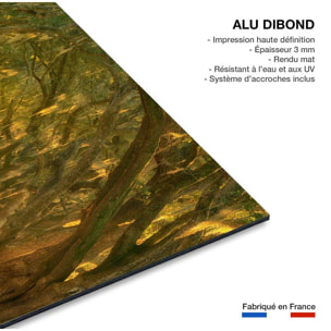 Tableau Allee enchanteresse Tableau alu Dibond