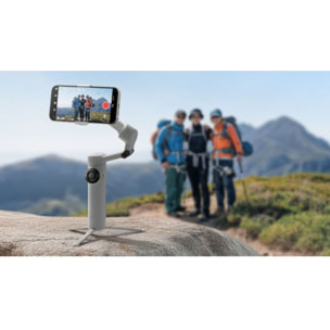 Stabilisateur INSTA360 Flow 2 Standard Bundle Stone Gray