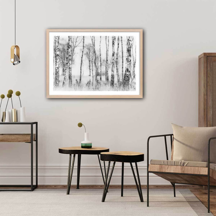 Affiche paysage bouleaux Affiche + cadre en bois - Chêne