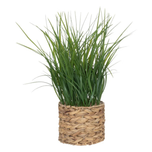 Plante artificielle en pot en jacinthe d'eau H70cm
