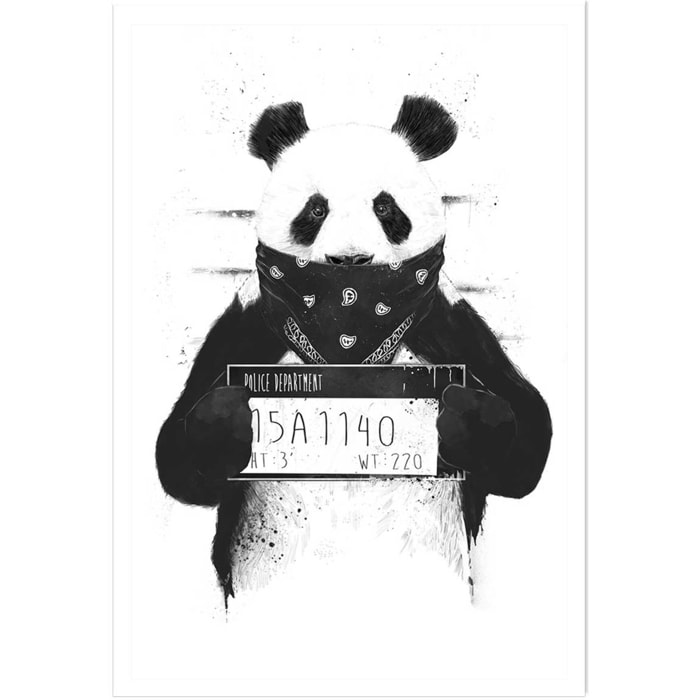 Affiche enfant panda  Affiche seule